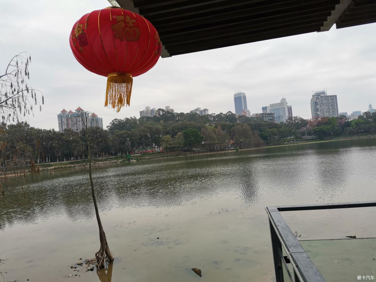 在水一方麓湖公園鹿鳴酒家嘆早茶