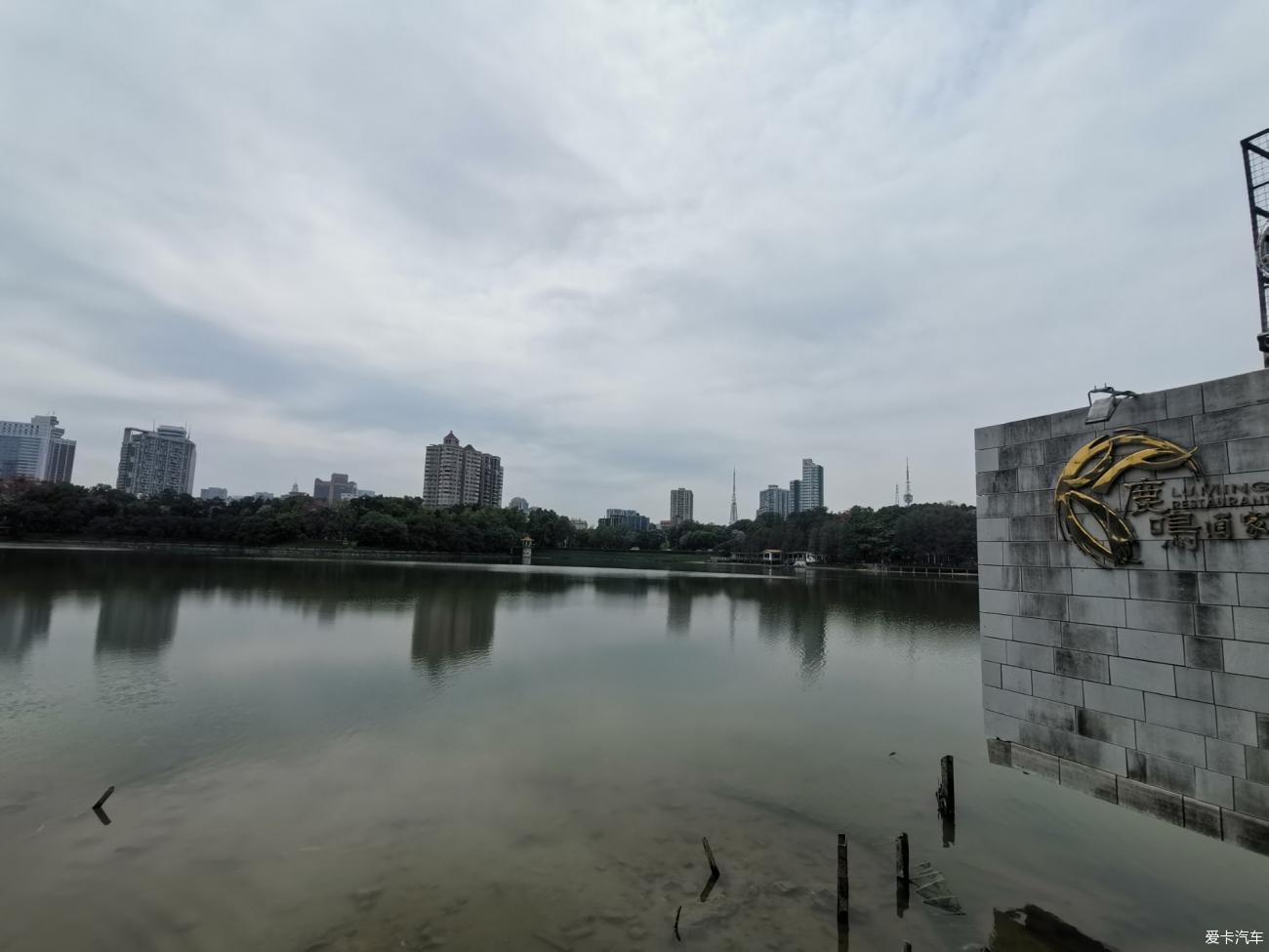 在水一方麓湖公園鹿鳴酒家嘆早茶