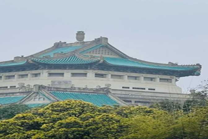 武汉大学赏花