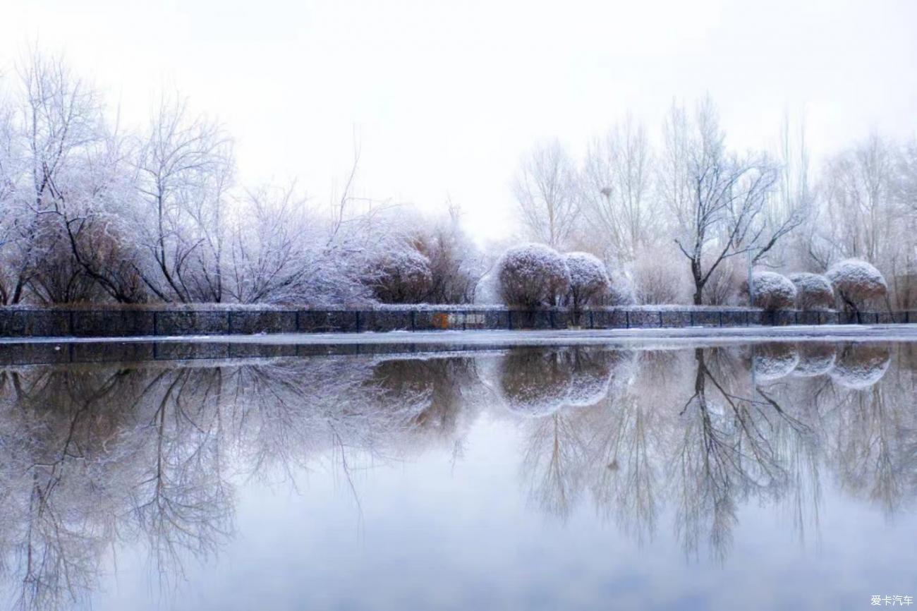 三月飛雪