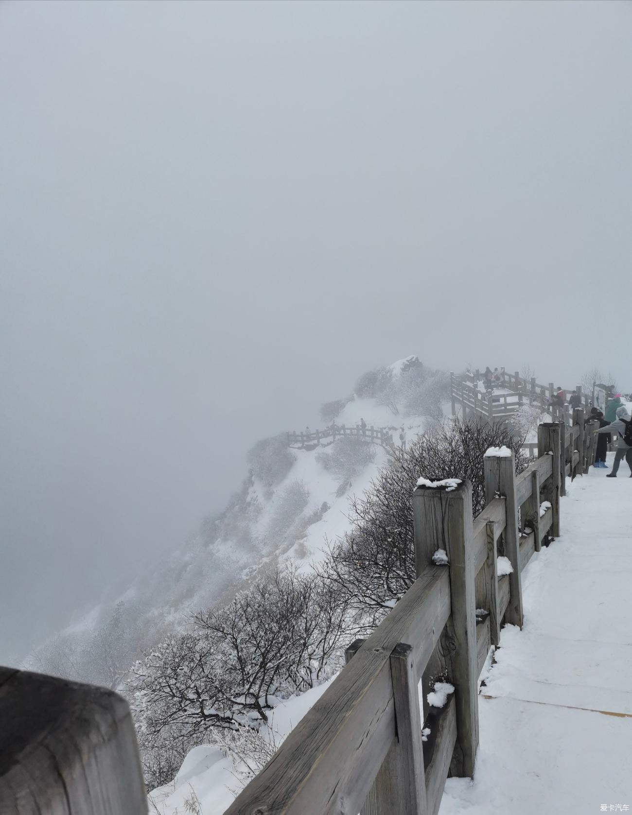 窗含西岭千秋雪的画面图片