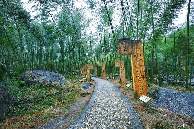 点击进入图库