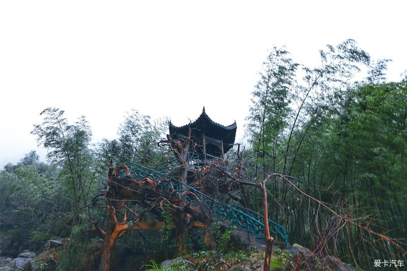 点击进入图库