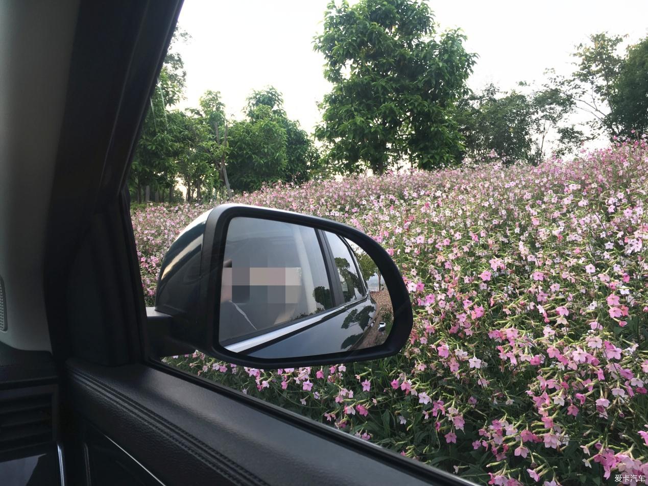 点击进入图库