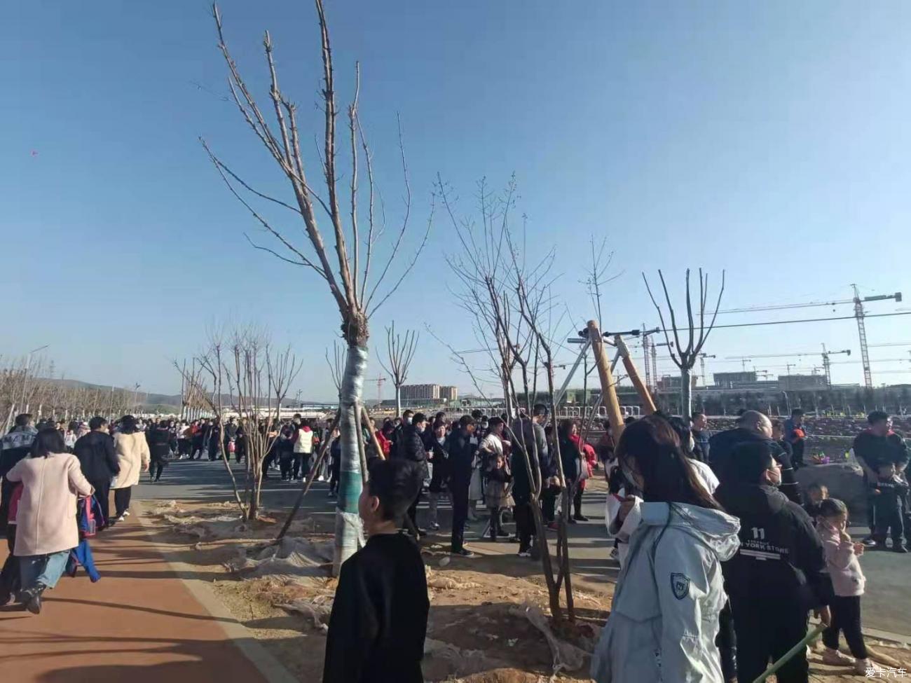 点击进入图库