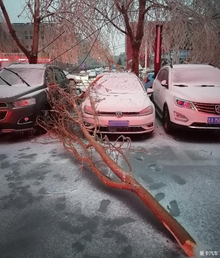 点击进入图库