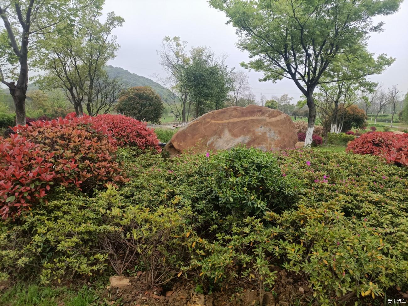 点击进入图库