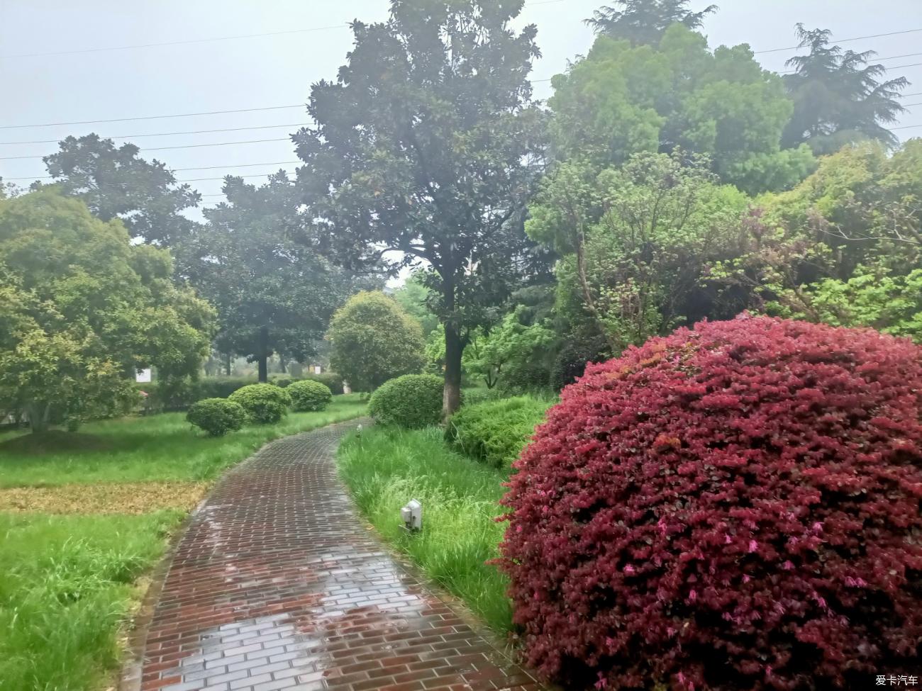 点击进入图库