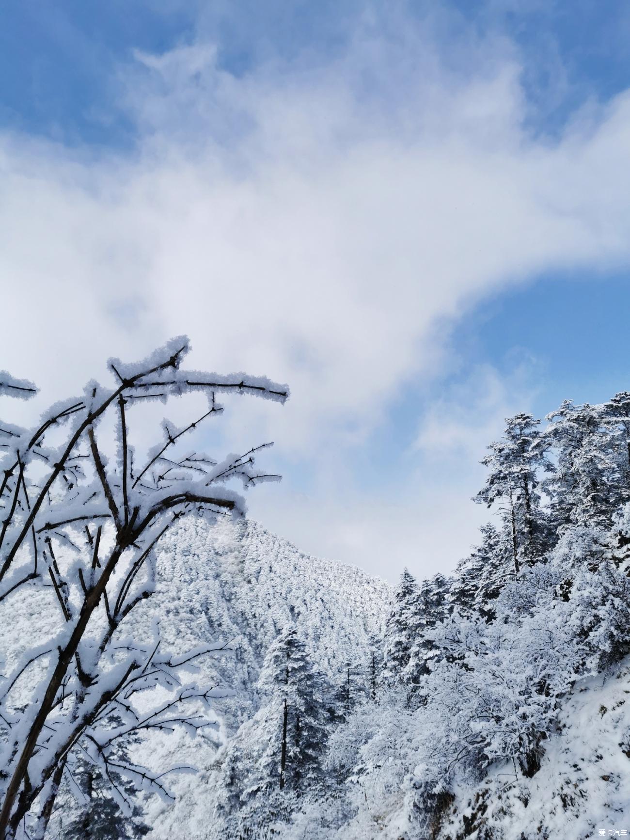 西岭雪山近景图片