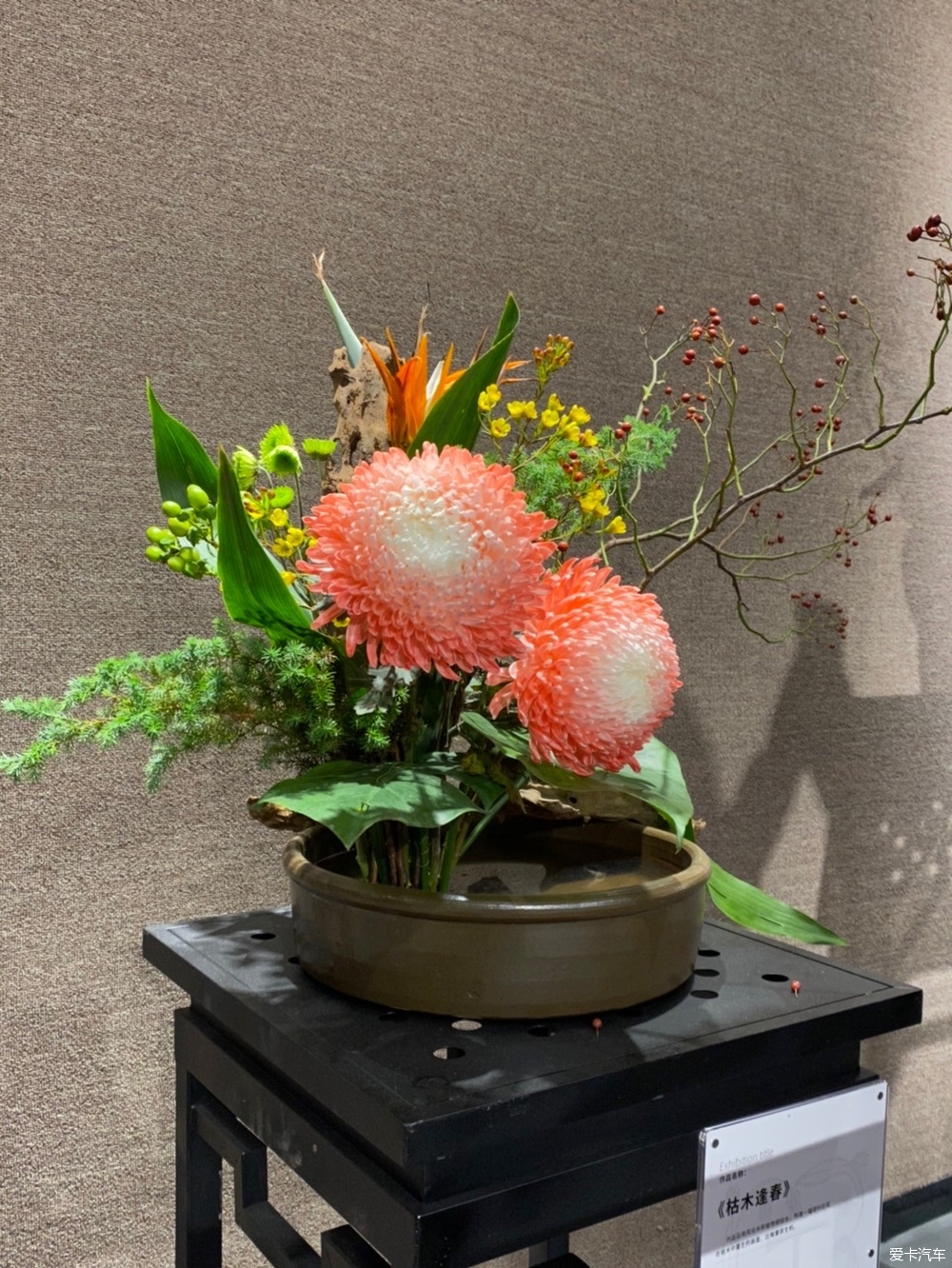 一组室内花展二