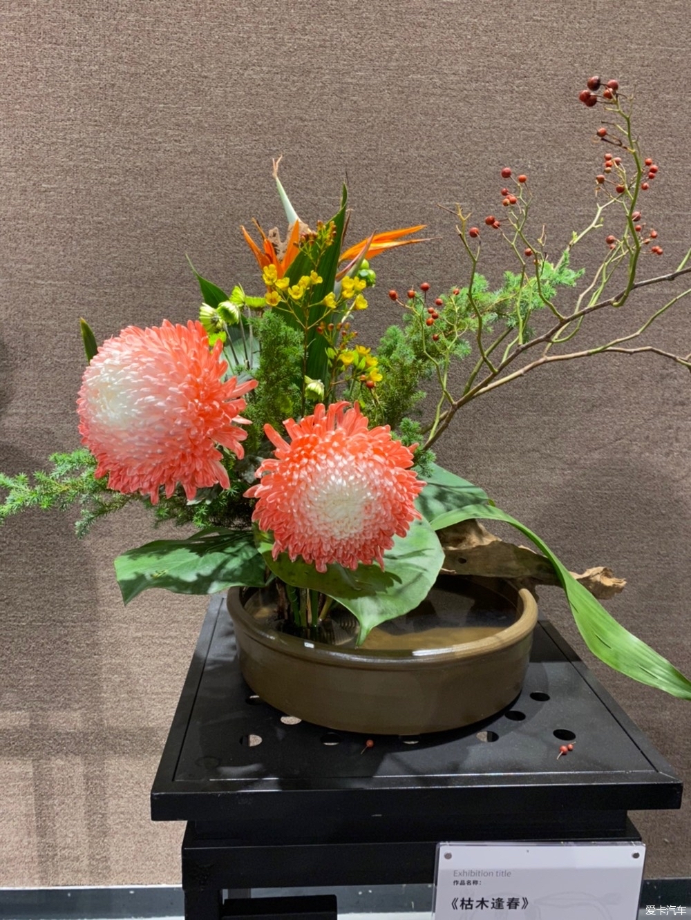 一组室内花展二