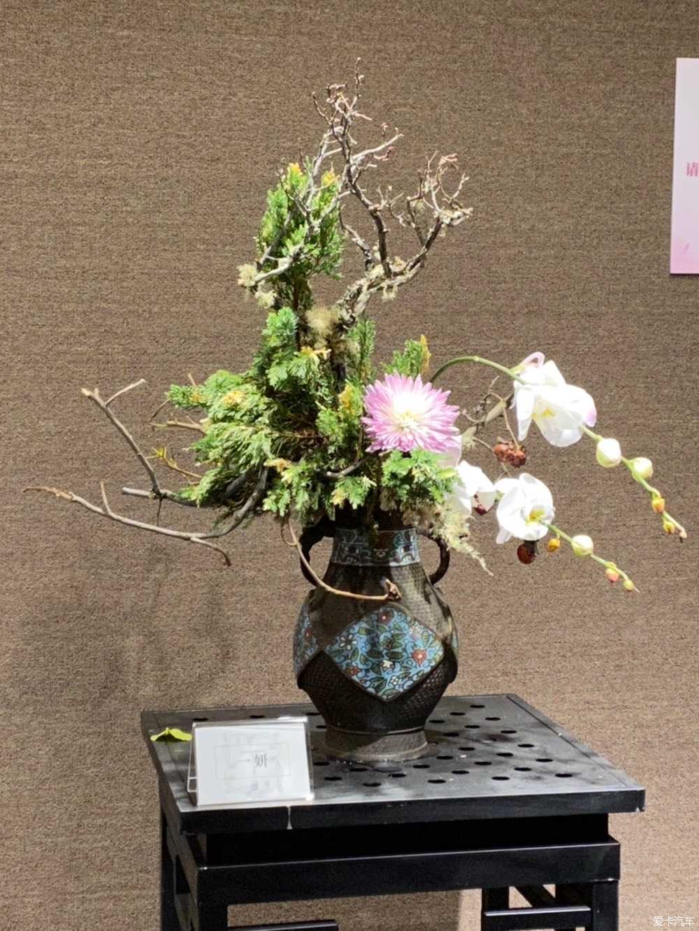 一组室内花展二