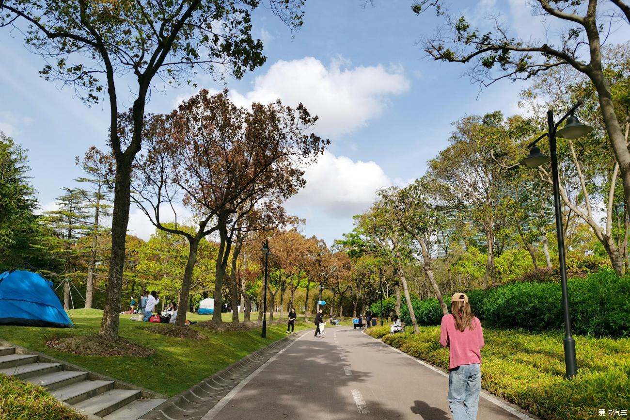 浦東最大公園上海世紀公園