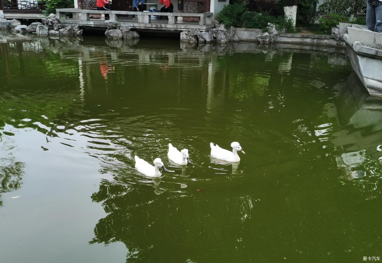 点击进入图库