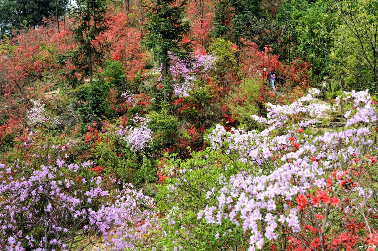 宜昌风景金刚山凉风沟
