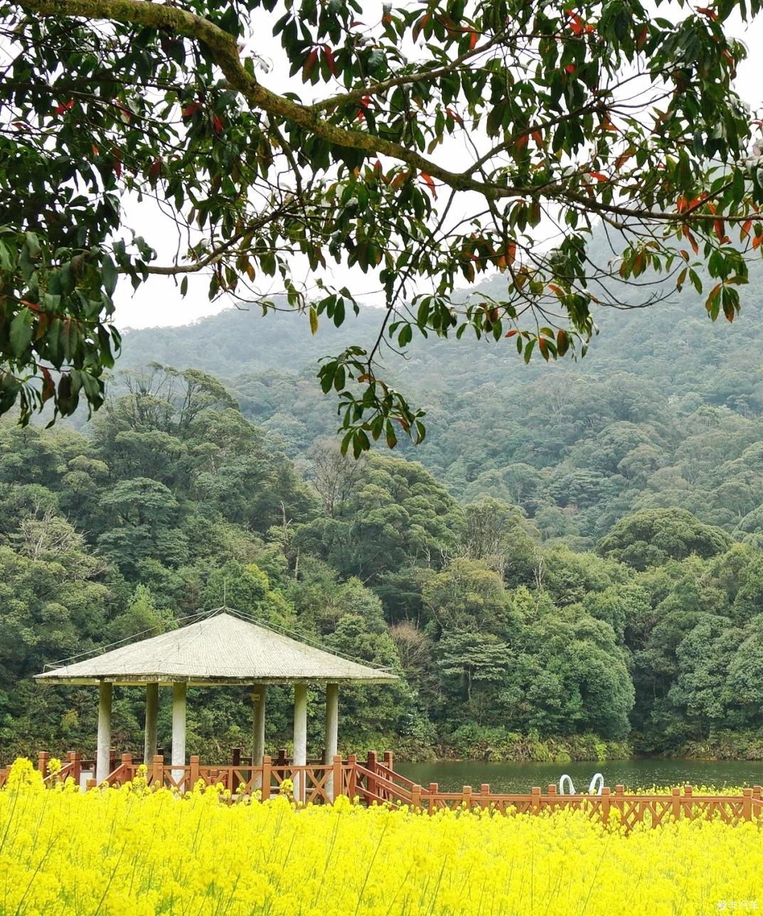 石门国家森林公园电话图片