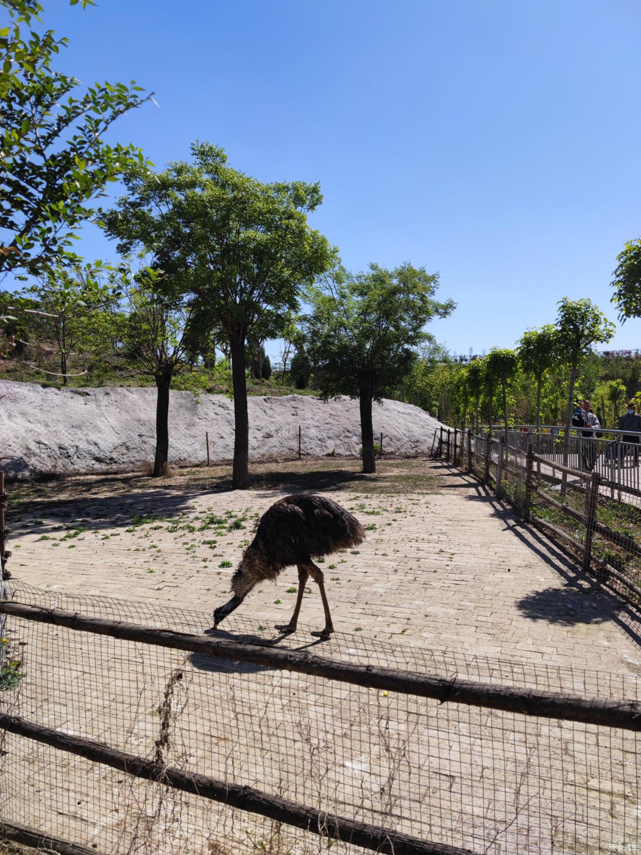 走進邯鄲佛山野生動物園