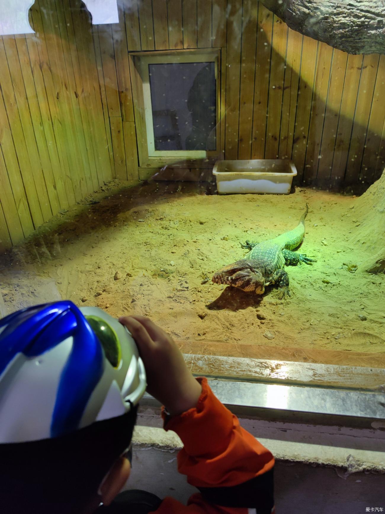 邯鄲佛山野生動物園交通指南自駕乘車