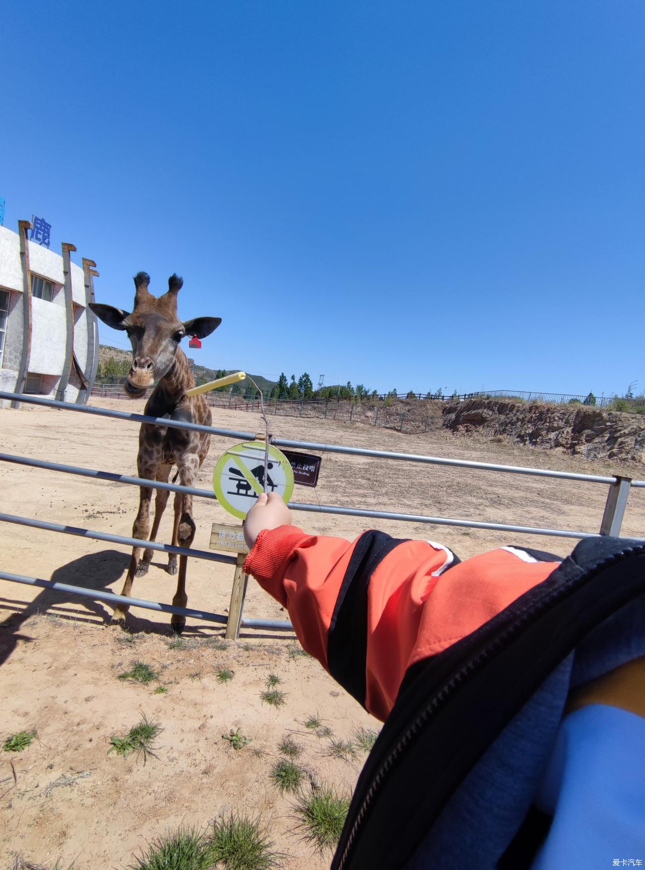 邯鄲佛山野生動物園交通指南自駕乘車