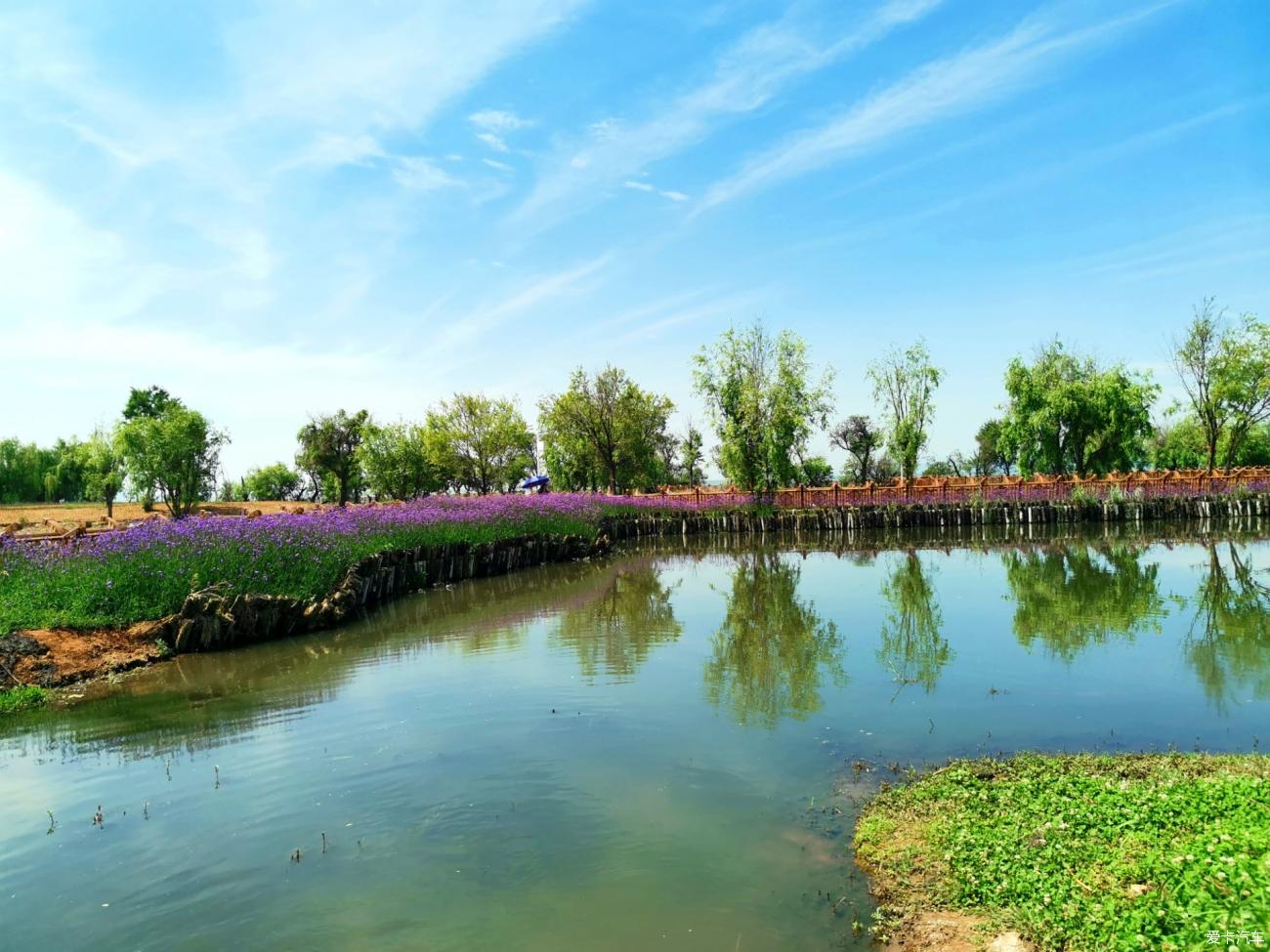斗南湿地公园2022图片