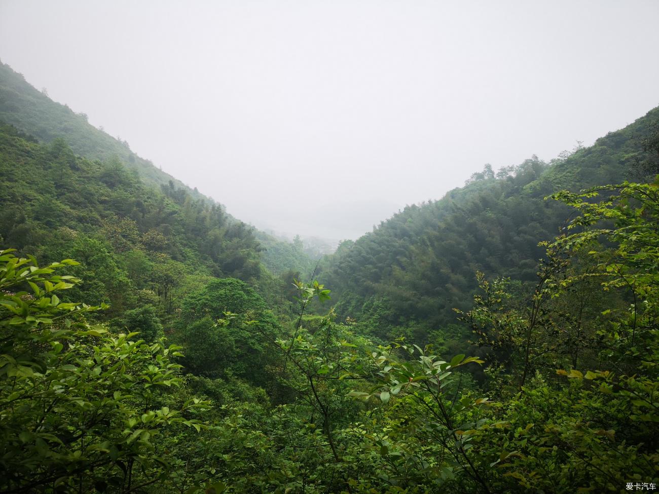 点击进入图库