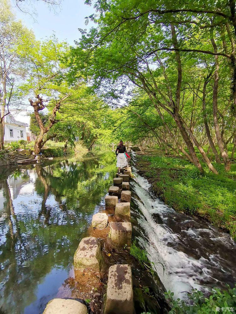 西溪南湿地古村落图片