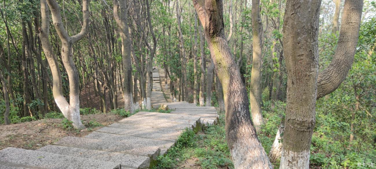 洪田火山公园游