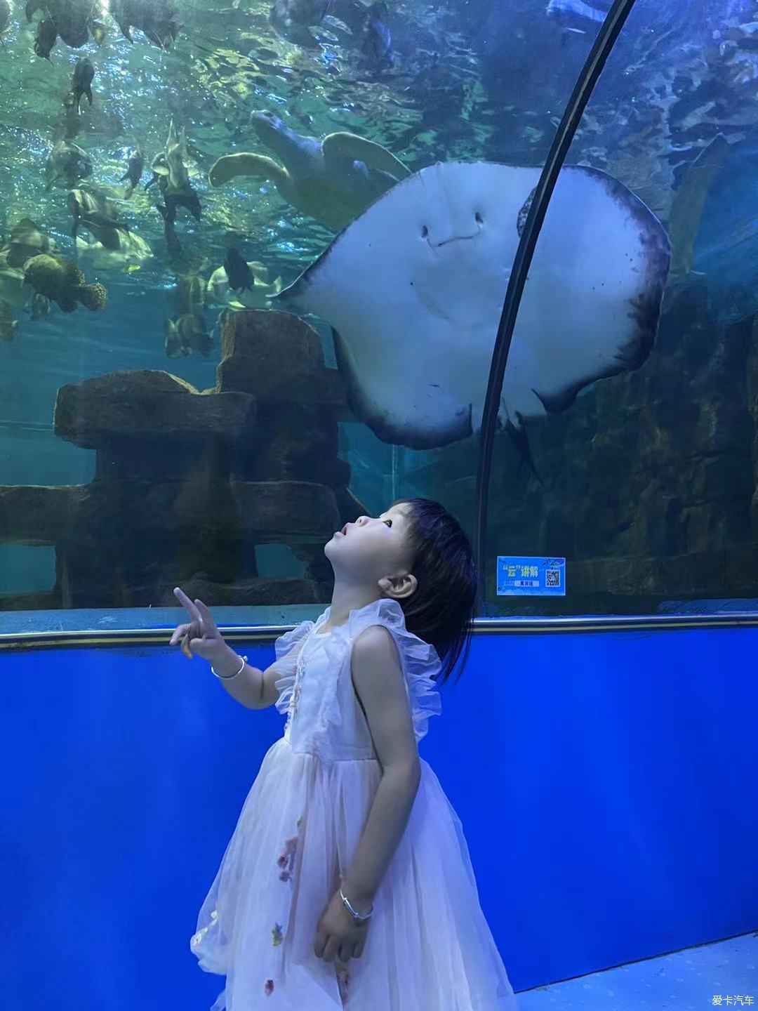 点击进入图库