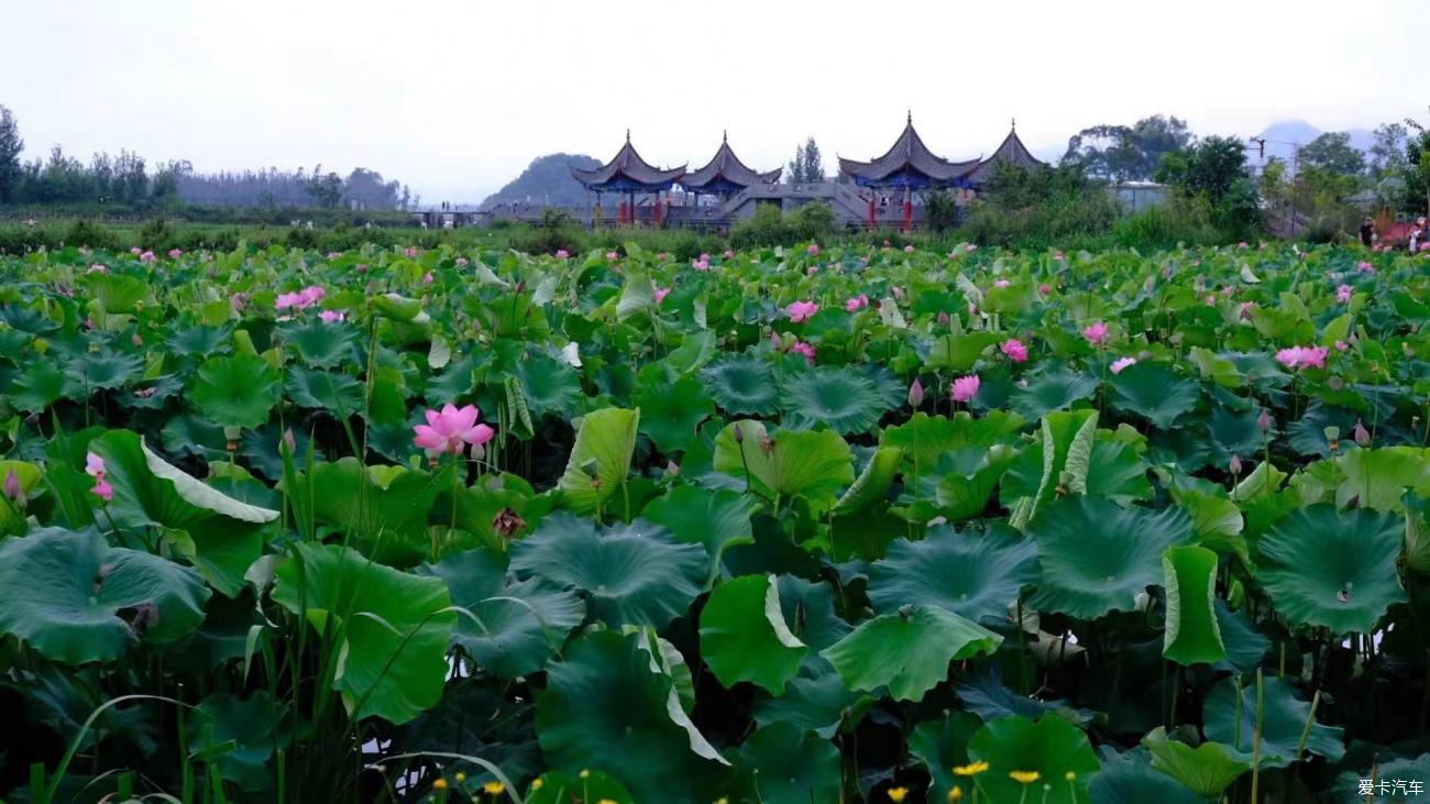 点击进入图库