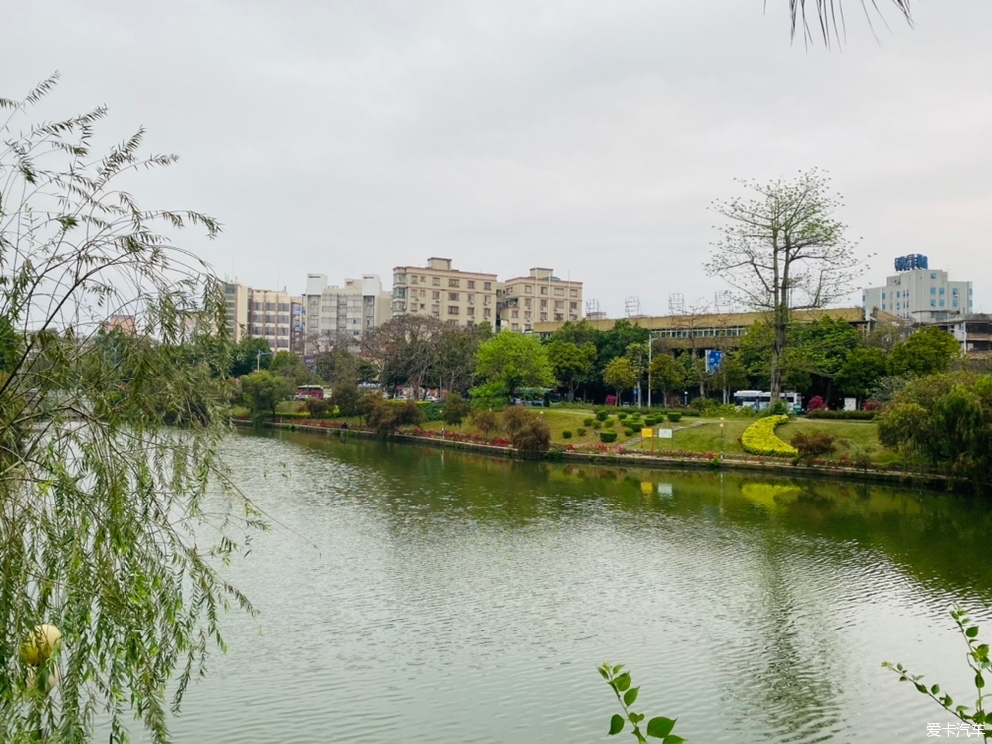 遊玩寸金橋公園