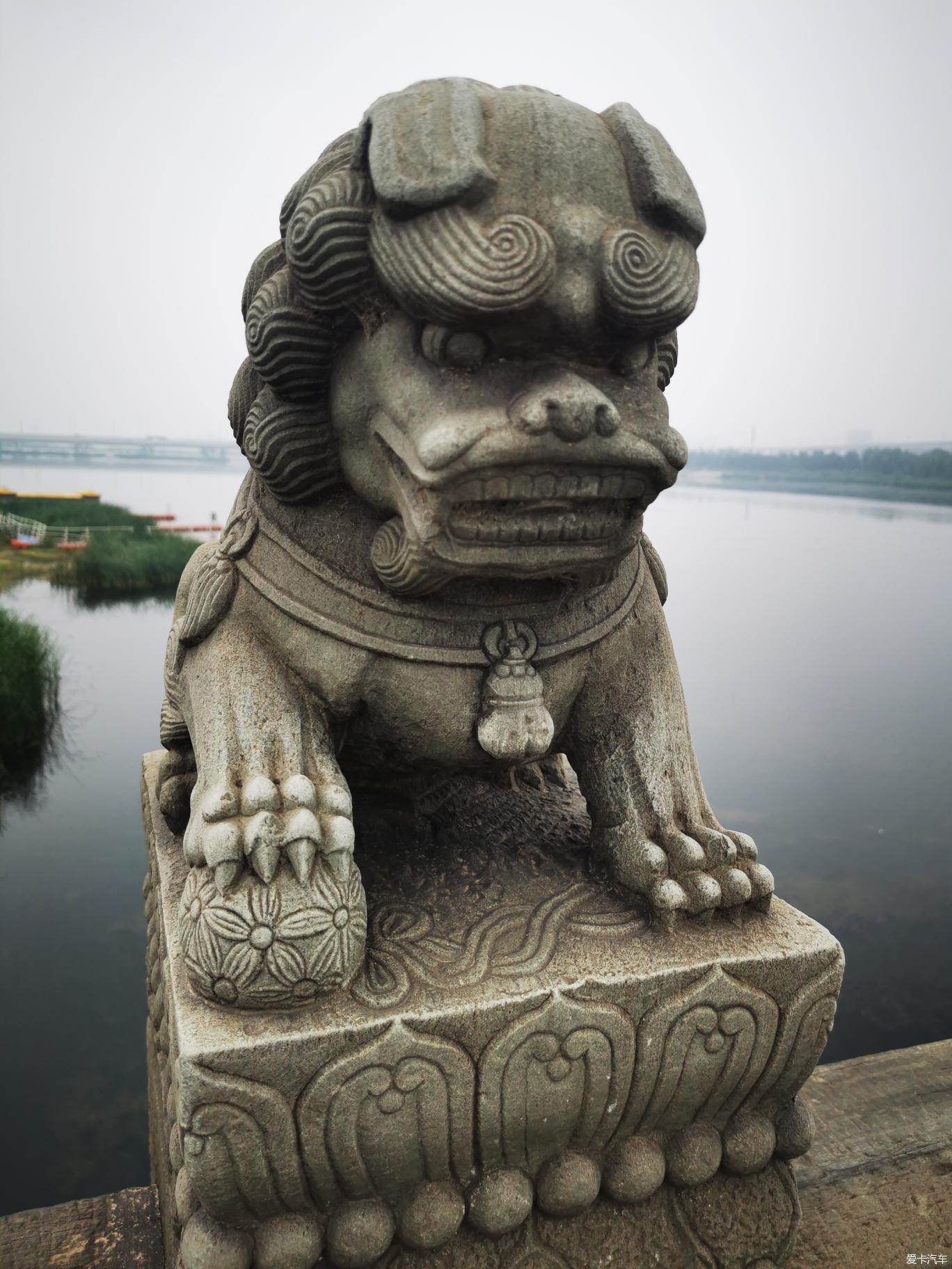 卢沟桥的狮子的样子图片