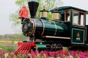 乘坐开往春天的小火车，穿梭于木兰花乡的七彩花海中！
