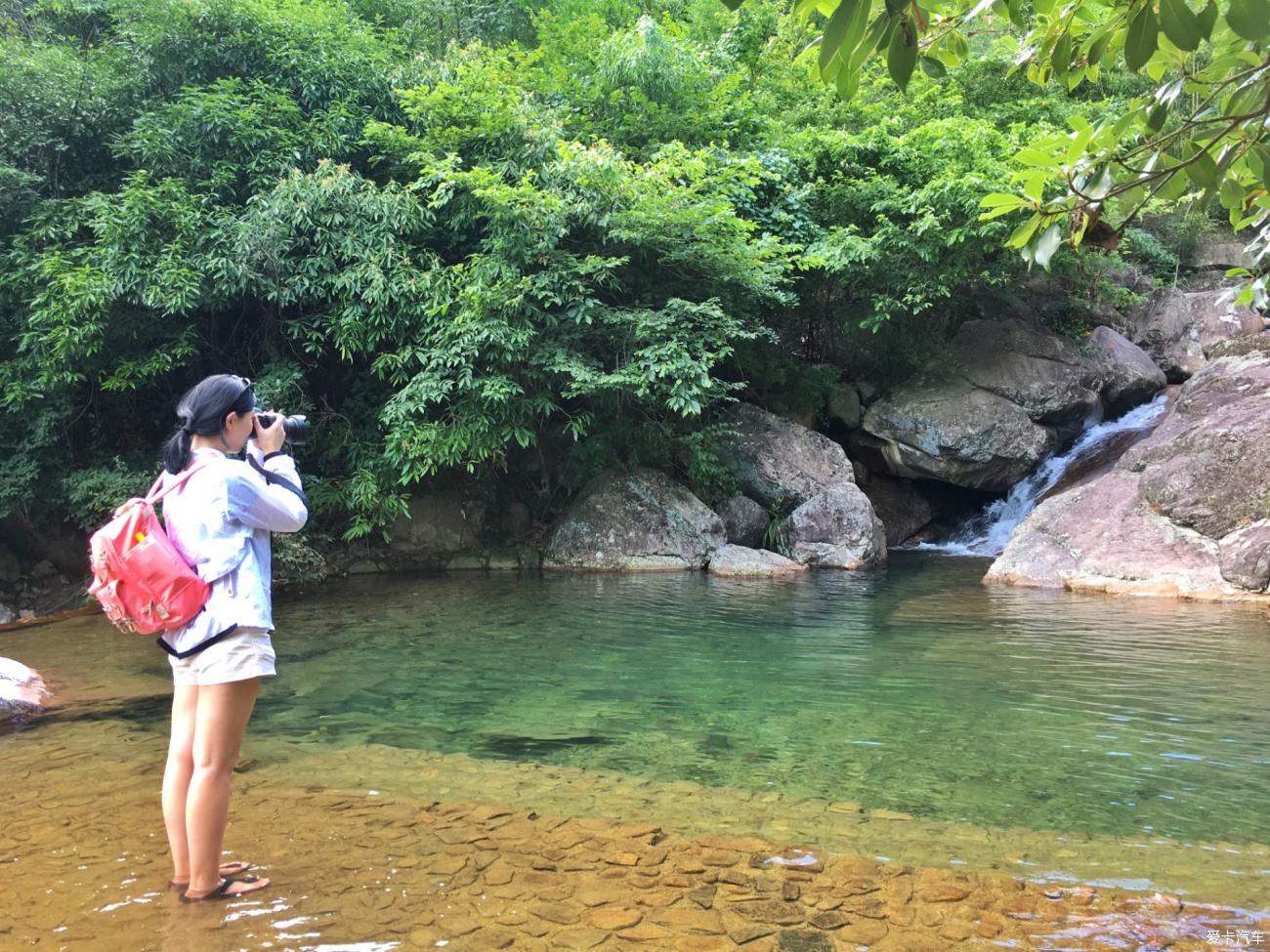 一場說走就走的旅行杭州天目山才是夏日避暑的正確打開方式