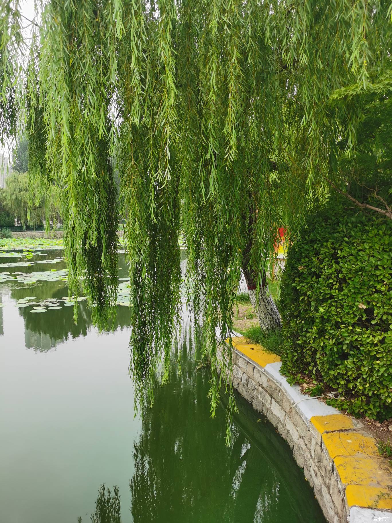 武汉柳林公园图片