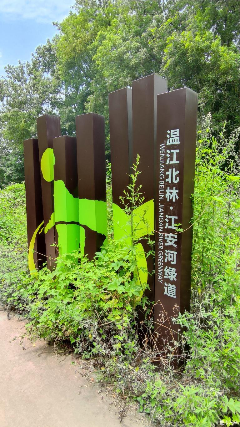 温江北林绿道图片