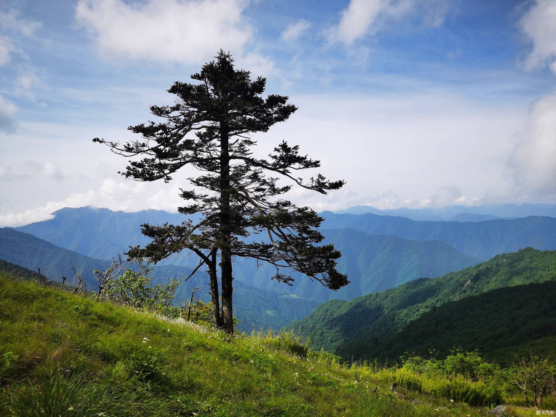 热搜冲顶夜宿玉皇庙把酒言欢强攀西光头览高山美景