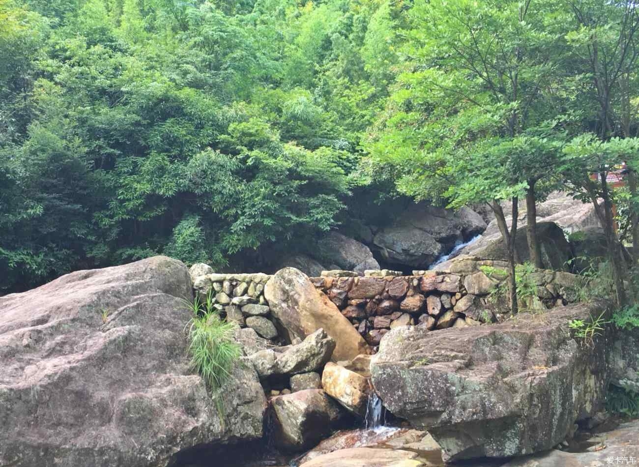 自駕杭州天目山夏日避暑的正確打開方式