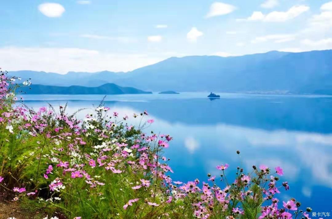 花朵风景 山水 鲜花图片