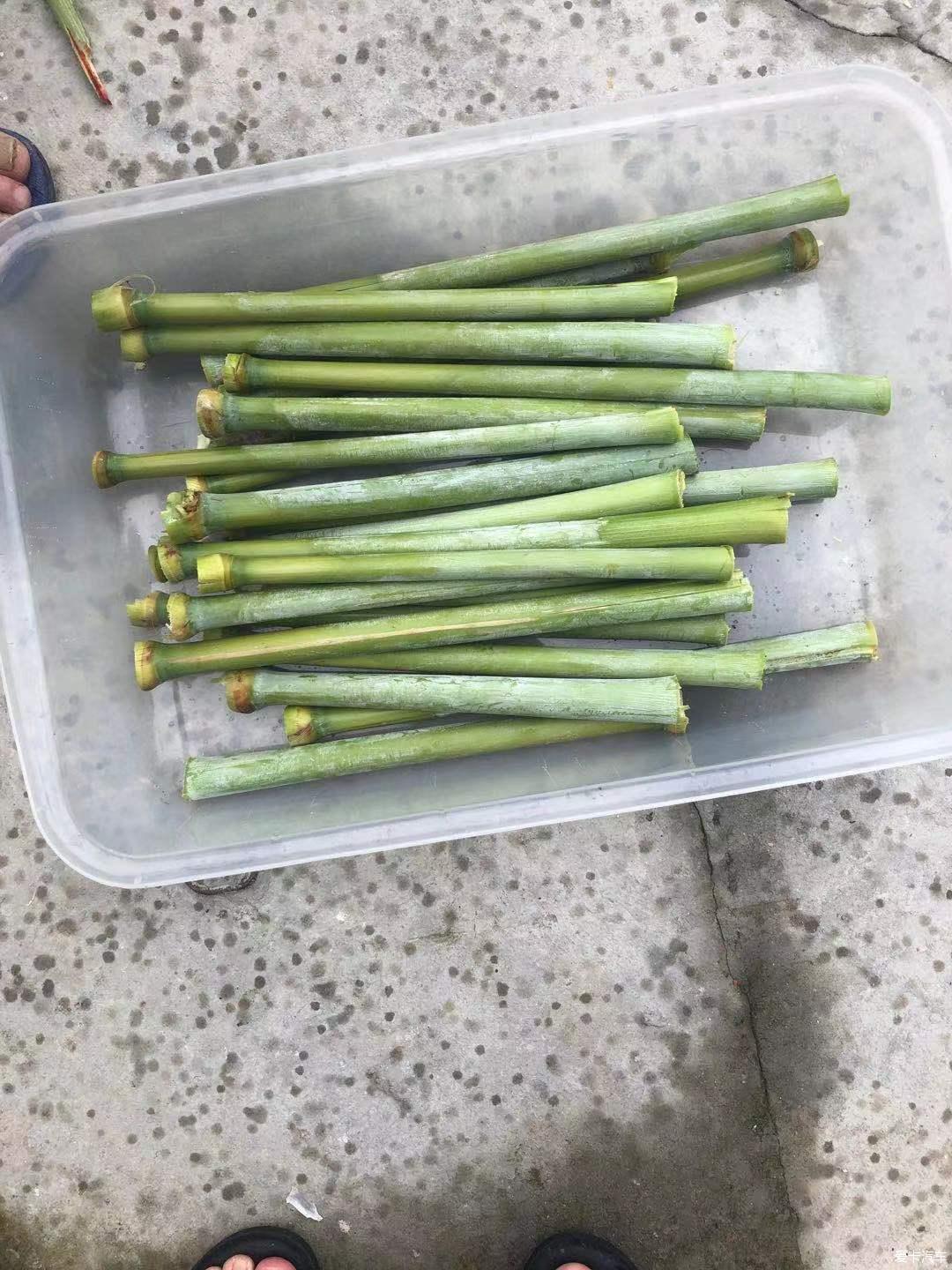 点击进入图库