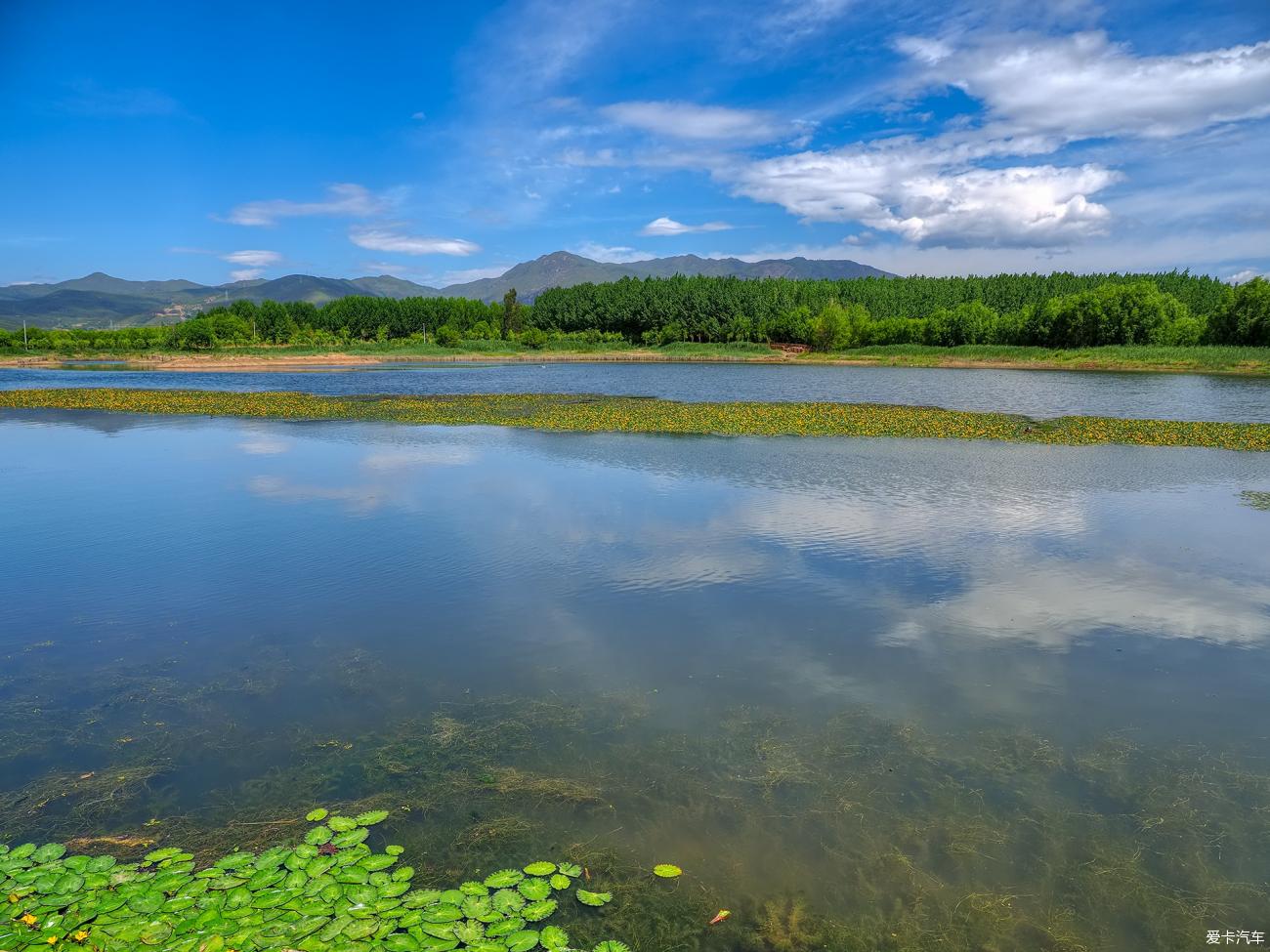 剑川剑湖湿地公园图片