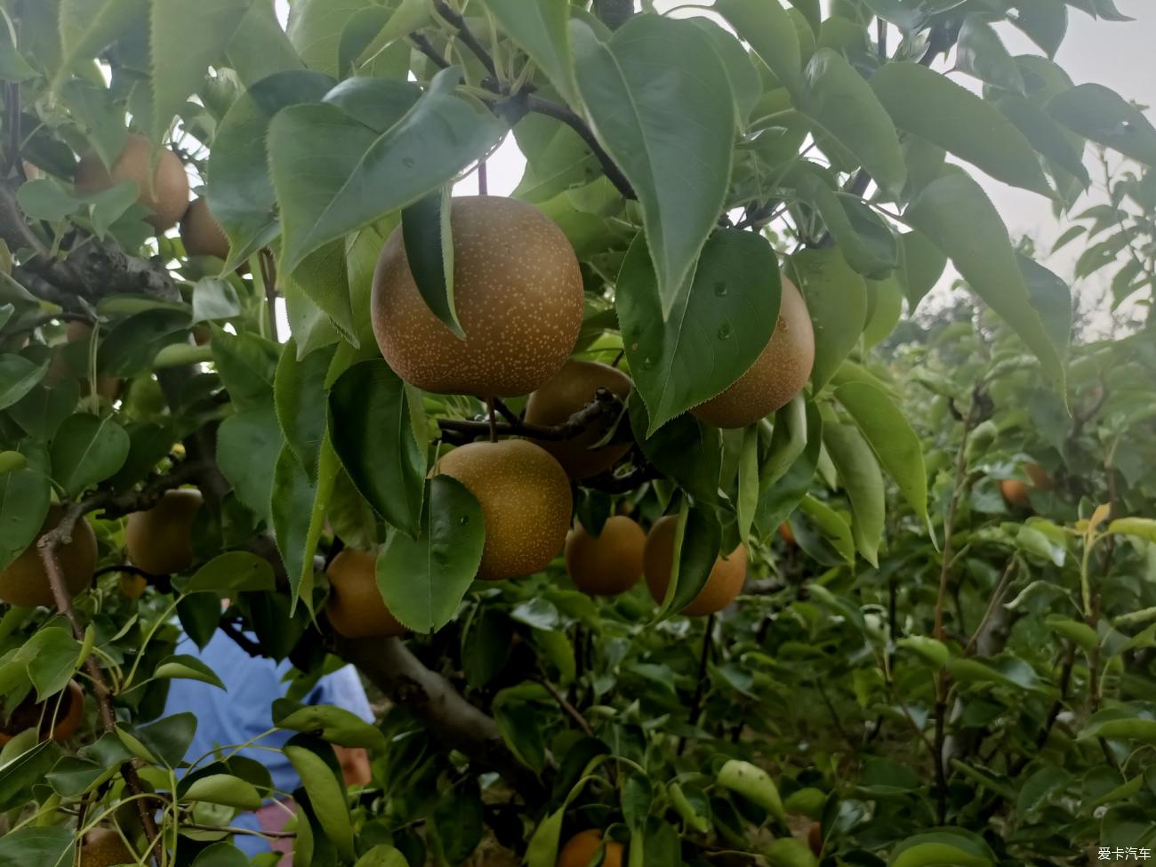 点击进入图库