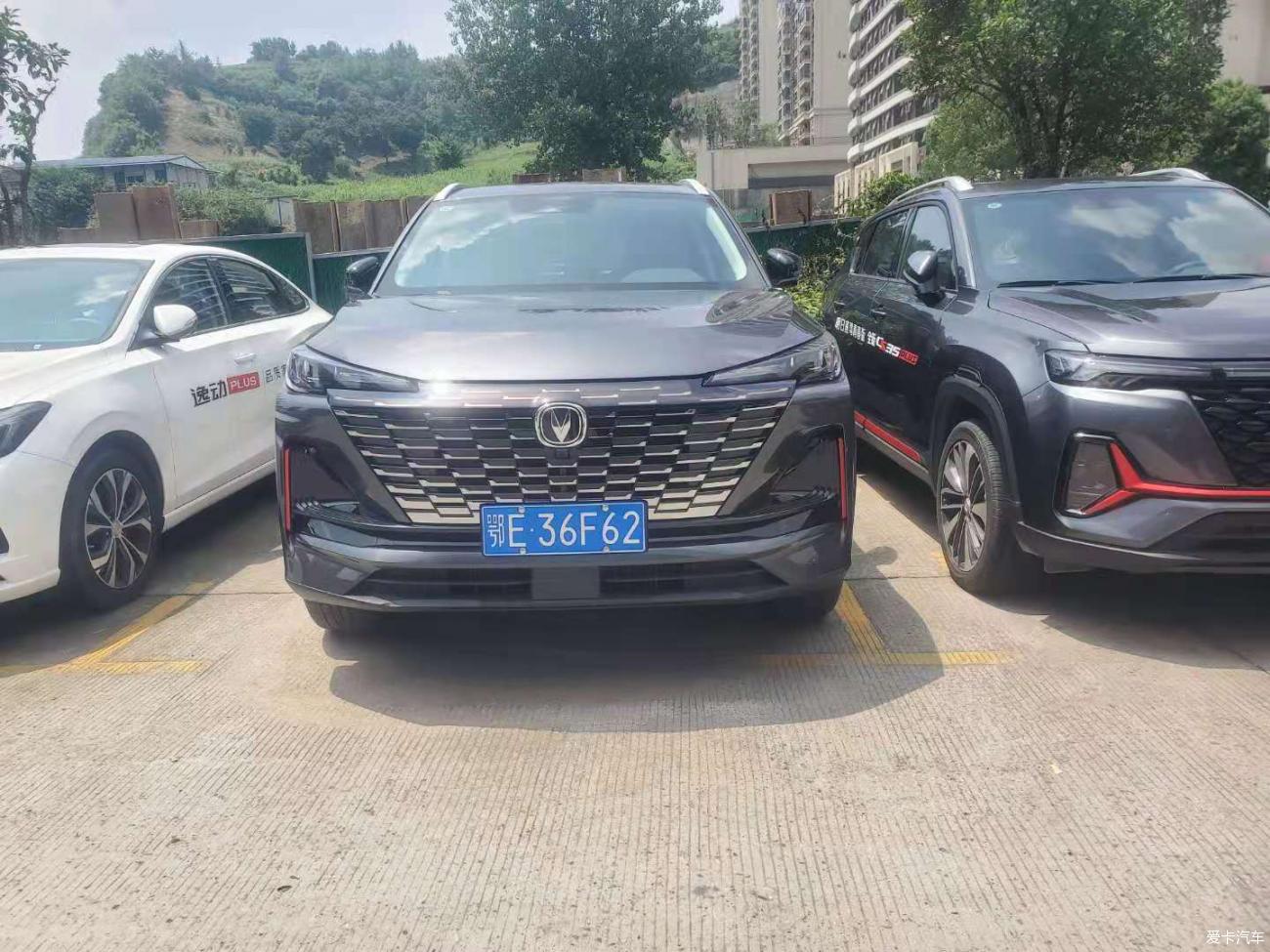 点击进入图库