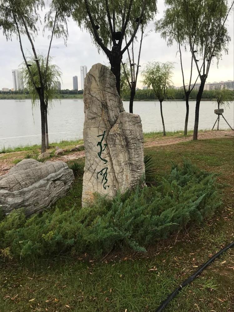 点击进入图库