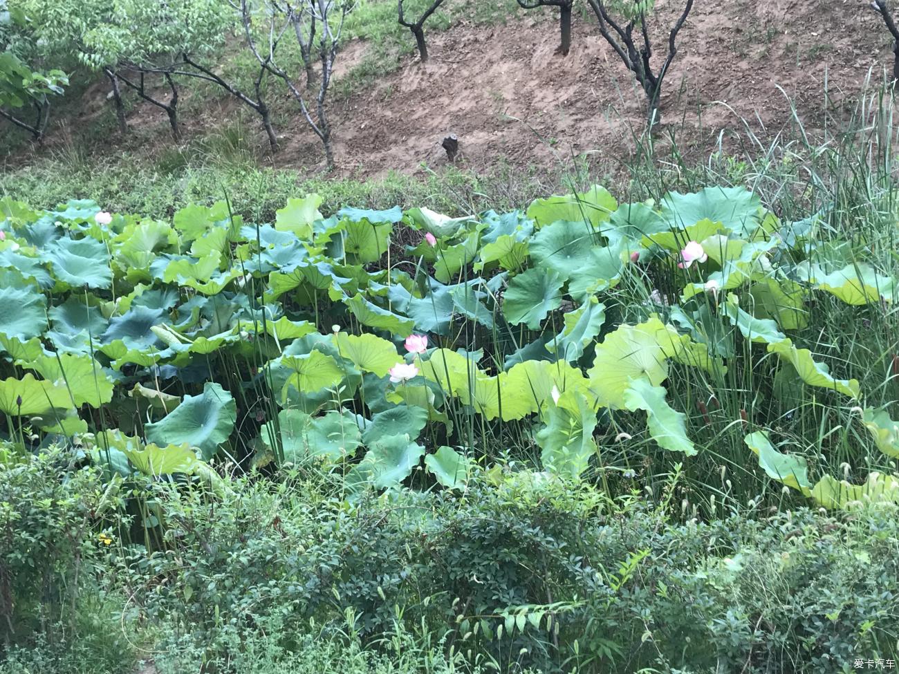 点击进入图库