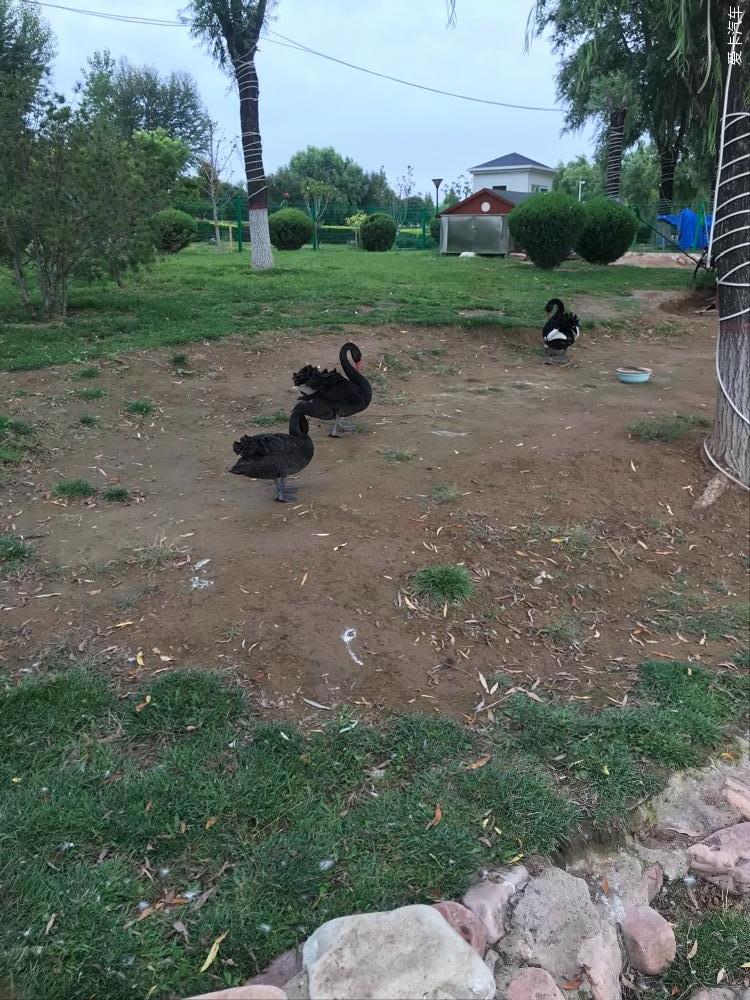 点击进入图库