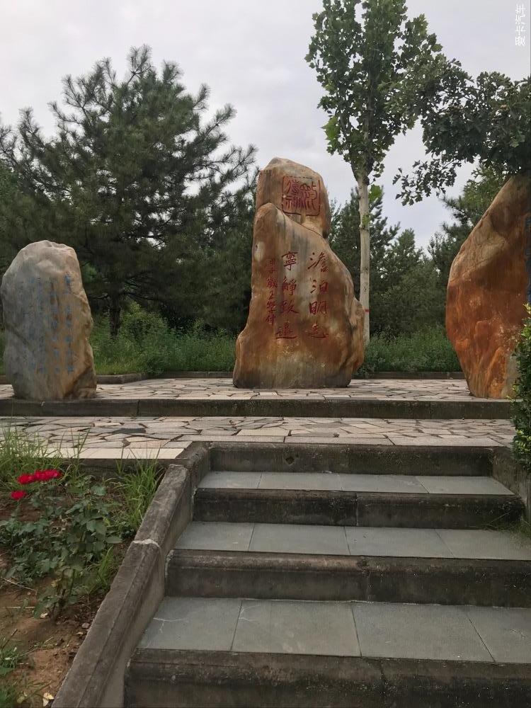 点击进入图库