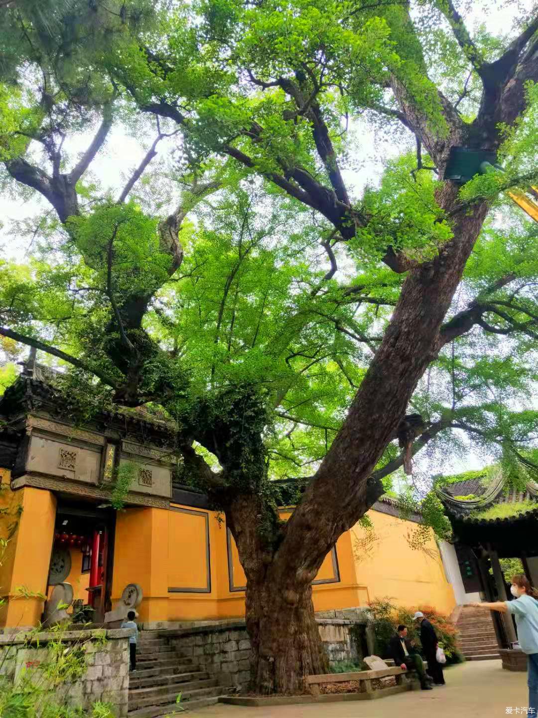 点击进入图库