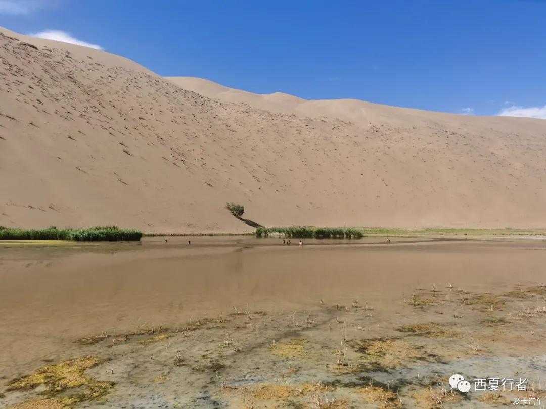 点击进入图库