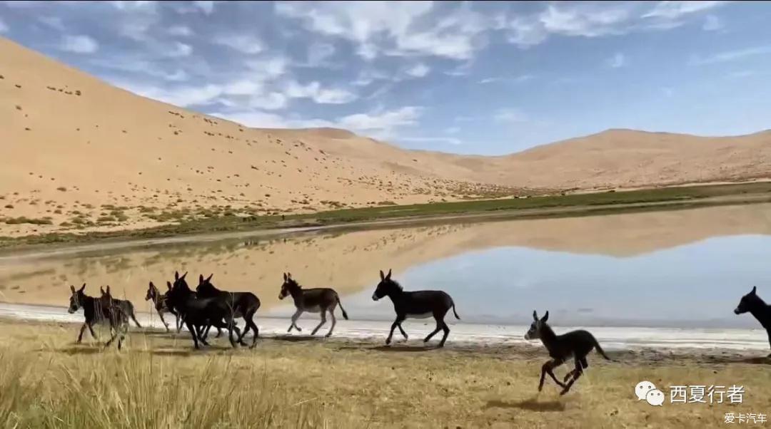 点击进入图库
