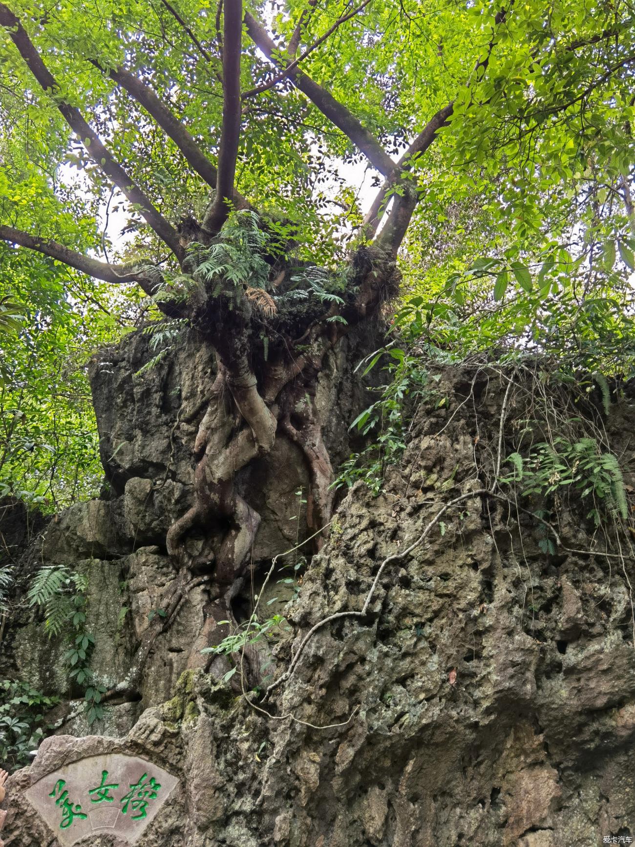 点击进入图库